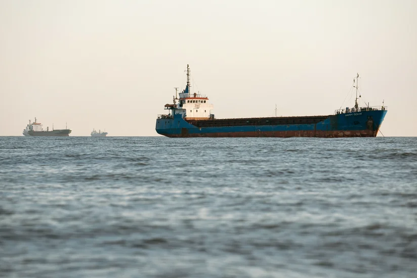 Объемы перевозки украинского зерна по Черному морю составят от 2 до 5 млн тонн в месяц