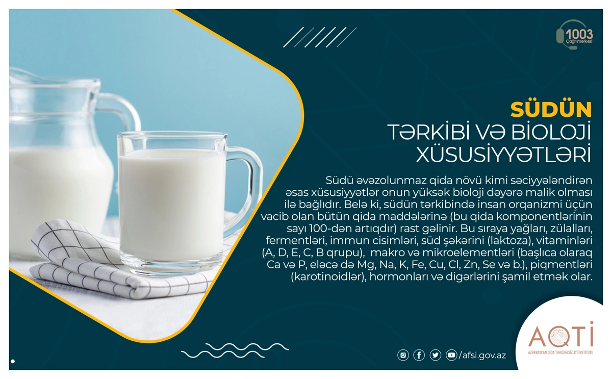 Südün tərkibi və bioloji xüsusiyyətləri -MƏQALƏ