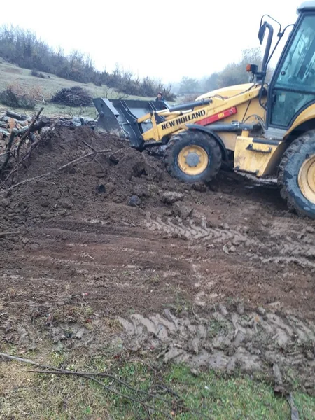 Oğuzda qanunsuz yolla əldə edilən meşə materialları və kömür hazırlanan quyular aşkar edilib