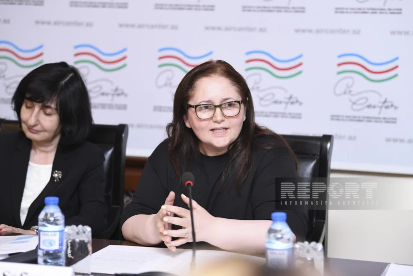 Aynur Sofiyeva: Beynəlxalq təmsilçilikdə qadınların roluna dair məlumatları əldə edə bilmədik