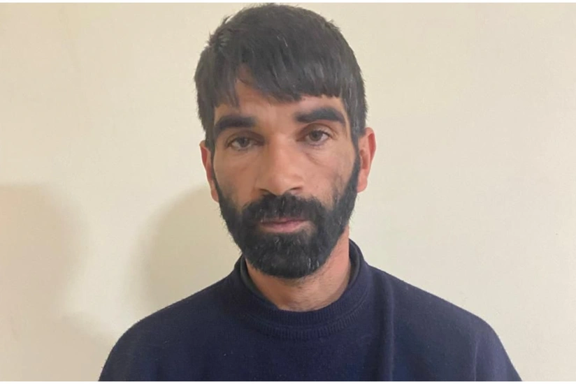 Kürdəmirdə 26 min manatlıq iribuynuzlu heyvan oğurlanıb