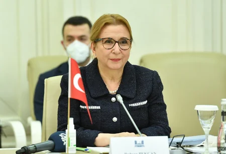 Milli Məclisin sədri Sahibə Qafarova Türkiyənin ticarət naziri ilə görüşüb