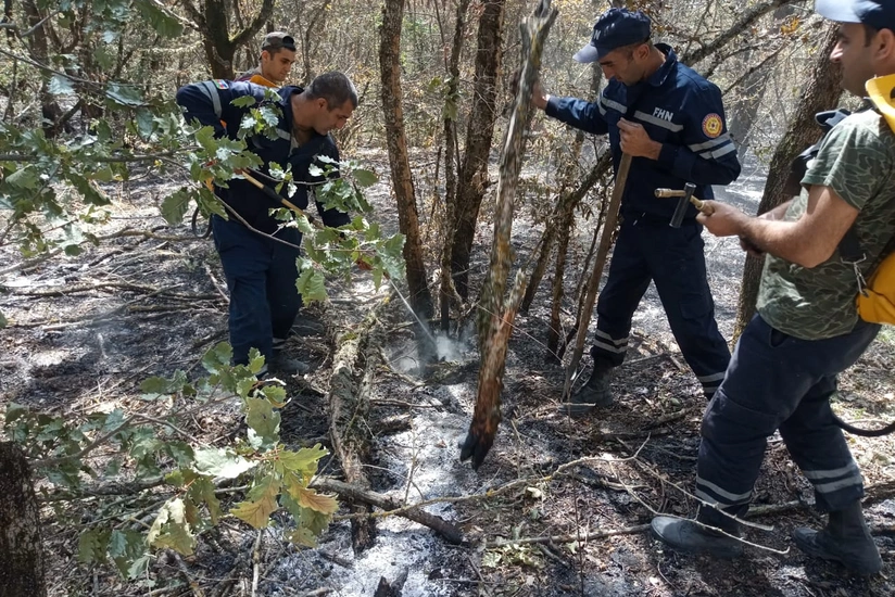 Ağdamda 20 hektarlıq meşə ərazisi yanıb