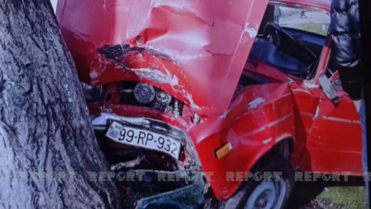 В Лянкяране автомобиль врезался в дерево, водитель получил тяжелые травмы