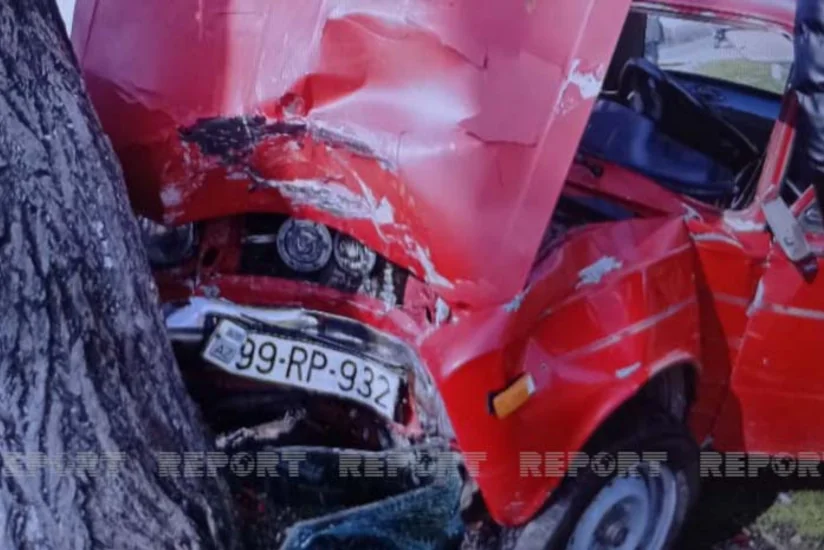 В Лянкяране автомобиль врезался в дерево, водитель получил тяжелые травмы