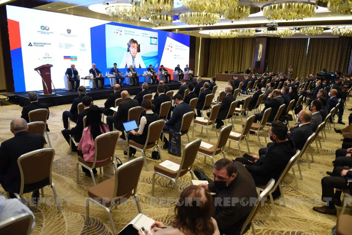 Nikishina: Azerbaijan-Russia cooperation has great potential for growth