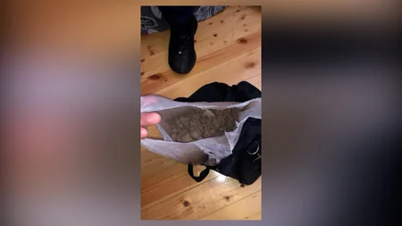 Abşeronda narkotacir tutuldu