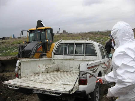 Bakıda 1,1 ton yararsız mal əti məhv edilib