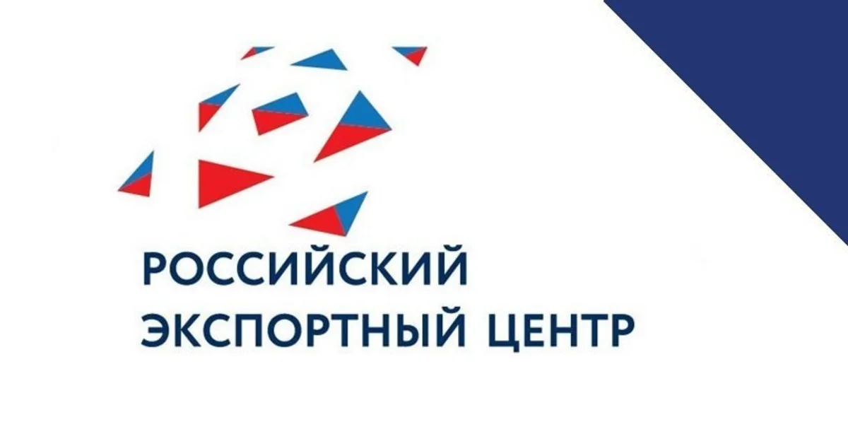 РЭЦ определил новые направления для поддержки российского экспорта в Азербайджан  - ЭКСКЛЮЗИВ