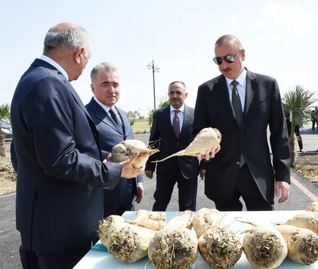 Prezident İlham Əliyev Cəlilabadda “Günəşli-Aqro” MMC-nin aqroparkında yaradılan şəraitlə tanış olub