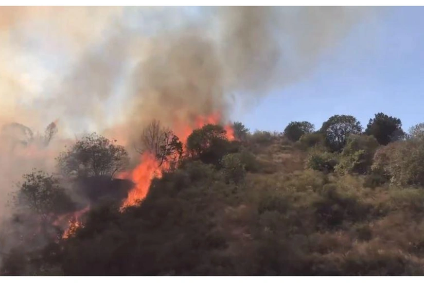 Laçını tərk etməyə hazırlaşan ermənilər meşəyə od vurub - VİDEO
