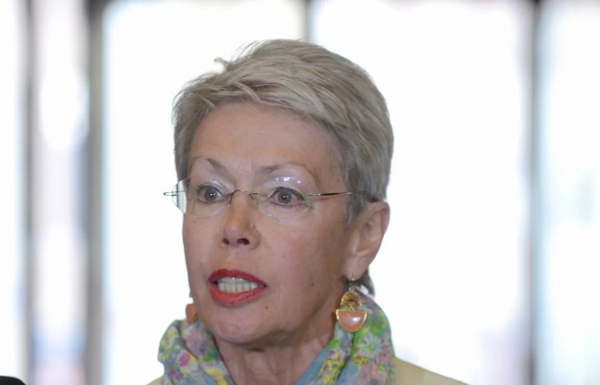 Special Representative of OSCE Chairman resigns