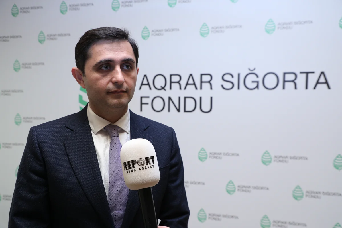 Azərbaycandakı aqrar sığorta mexanizminin digər türkdilli dövlətlərdə tətbiqi planlaşdırılır