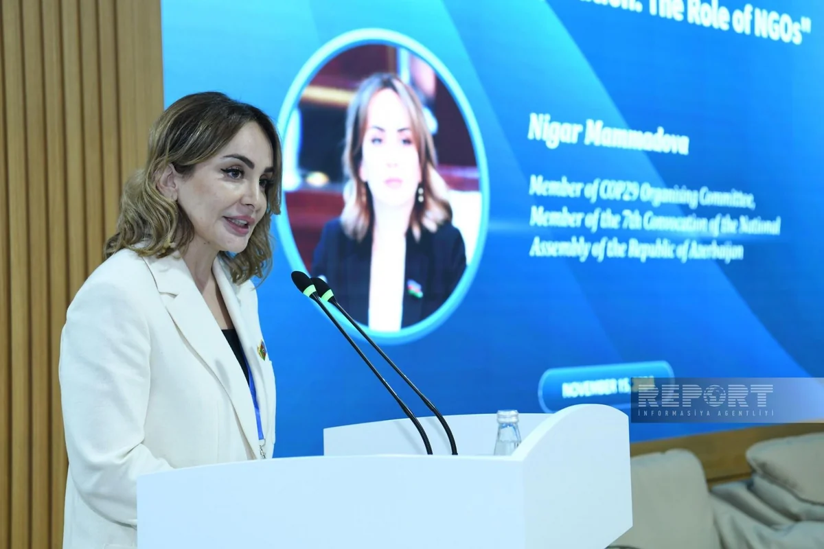 Azerbaijani MP calls for legal framework to boost private sector investments in green tech
