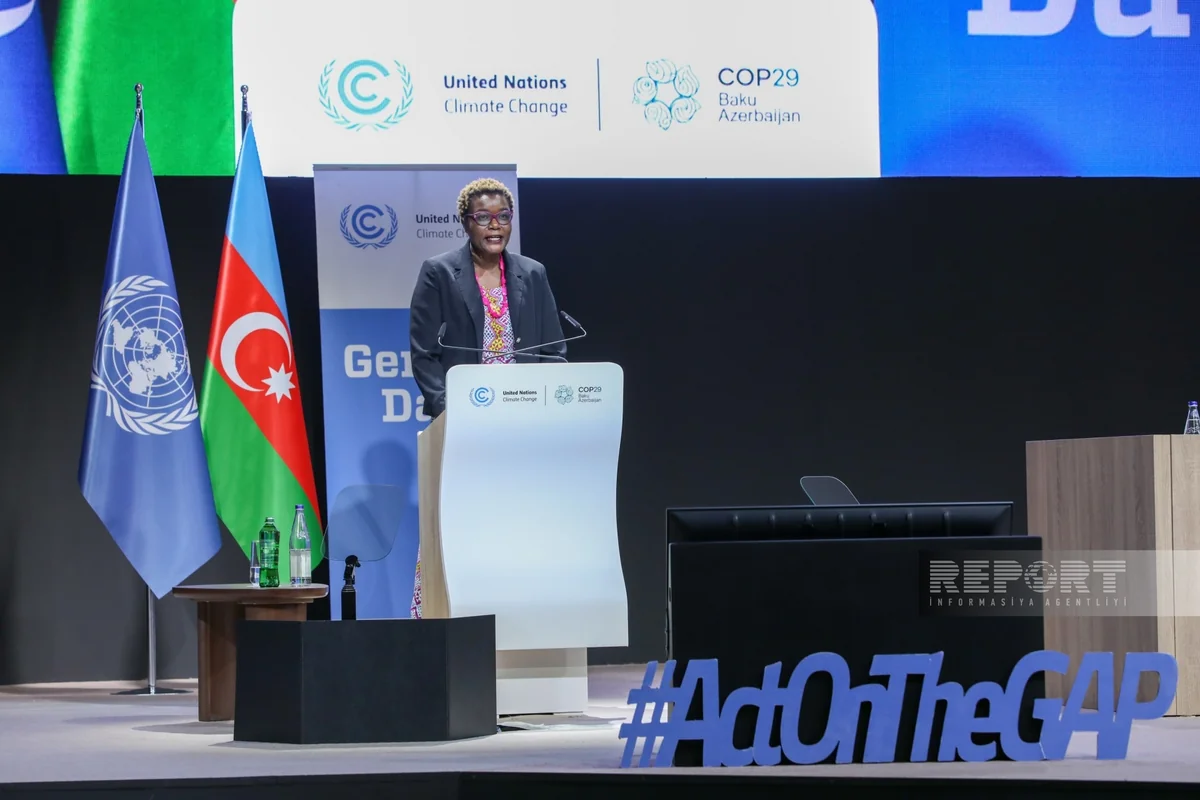 “UN Women”in nümayəndəsi: İqlim dəyişikliyi qadınların həyatına ciddi təsir göstərir