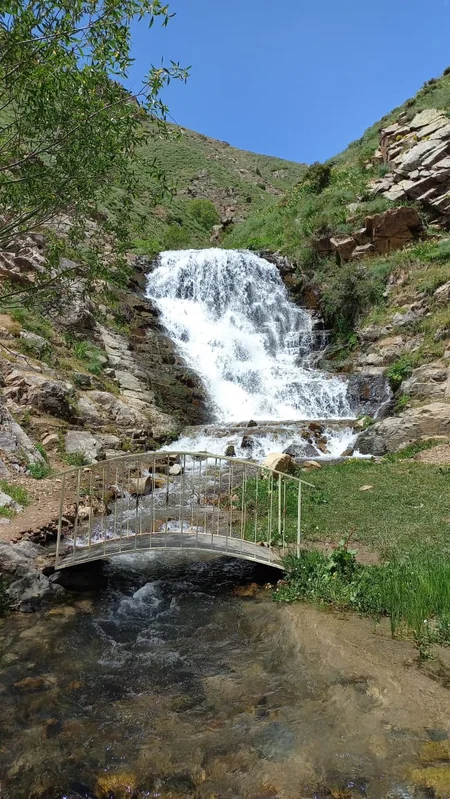 Bu gün Zəngəzur Milli Parkının yaradılmasından 20 il ötür