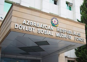 Sədr müavini: Bir müəssisədə çalışan 2000-ə yaxın işçinin hamısı ünvanlı sosial yardım alırdı