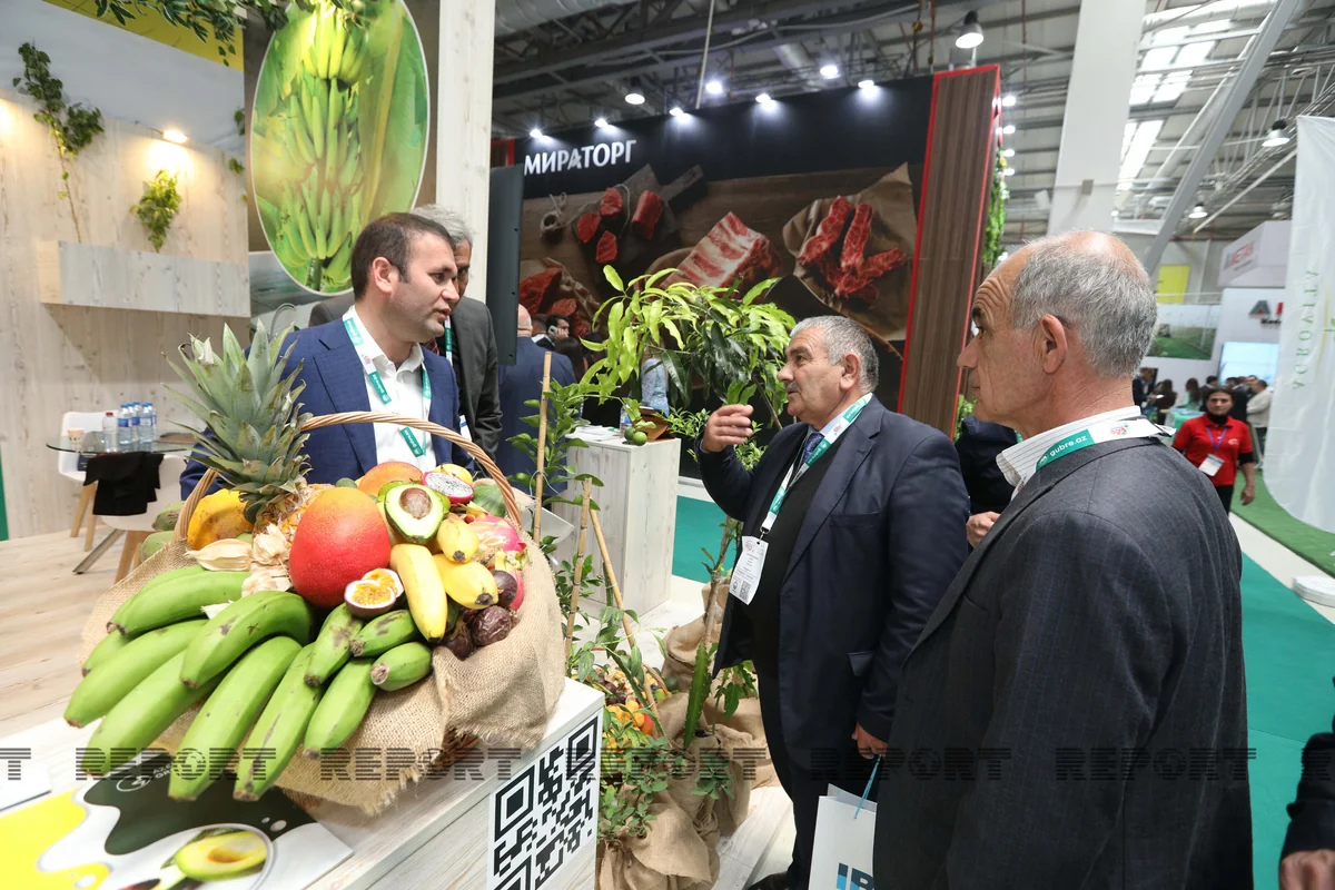 Azərbaycanda analoqu olmayan hidrokuler istehsal edilir