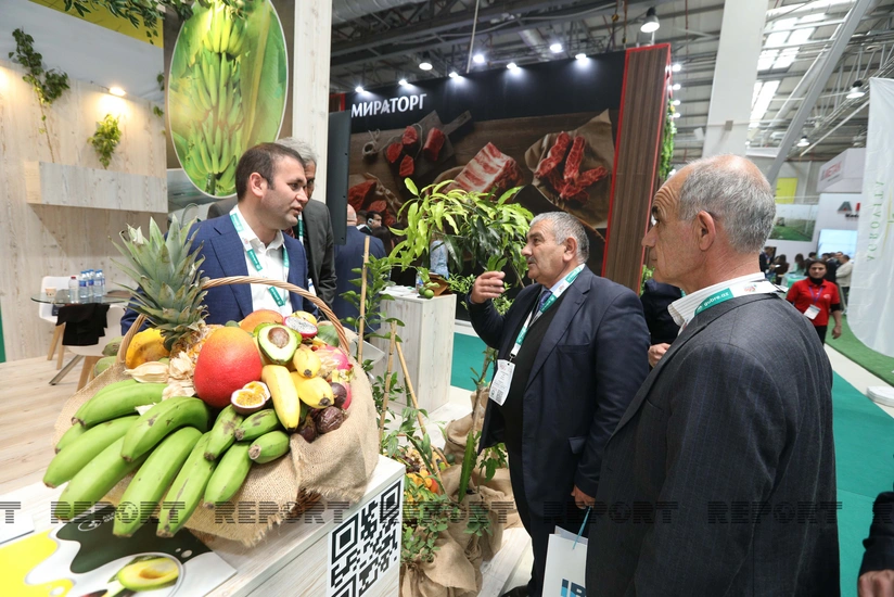 Azərbaycanda analoqu olmayan hidrokuler istehsal edilir