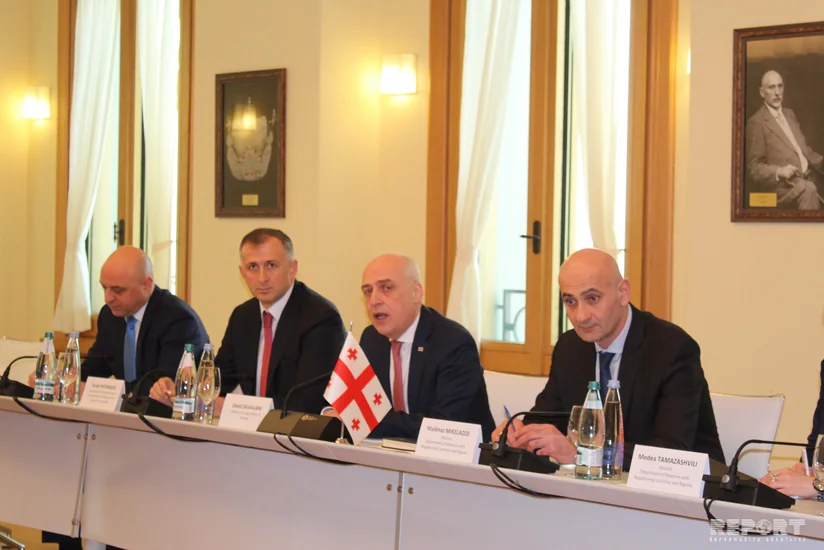 Глава МИД: У Грузии образцовые отношения с Азербайджаном и Турцией