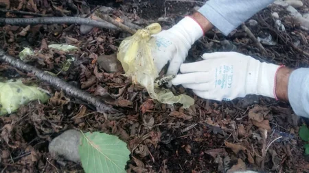 Oğuzda 3 ədəd əl qumbarası tapıldı