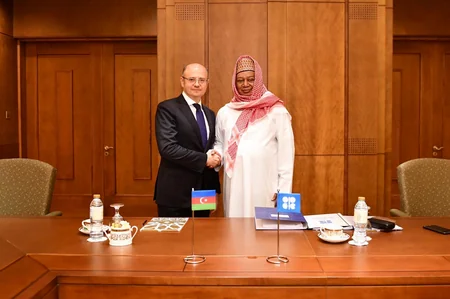 Azərbaycanın energetika naziri OPEC-in baş katibi və rusiyalı həmkarı ilə neft bazarındakı vəziyyəti müzakirə edib