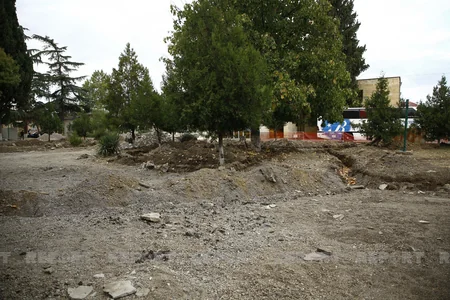 Gürcüstanda Nəriman Nərimanov adına park yenidən qurulur