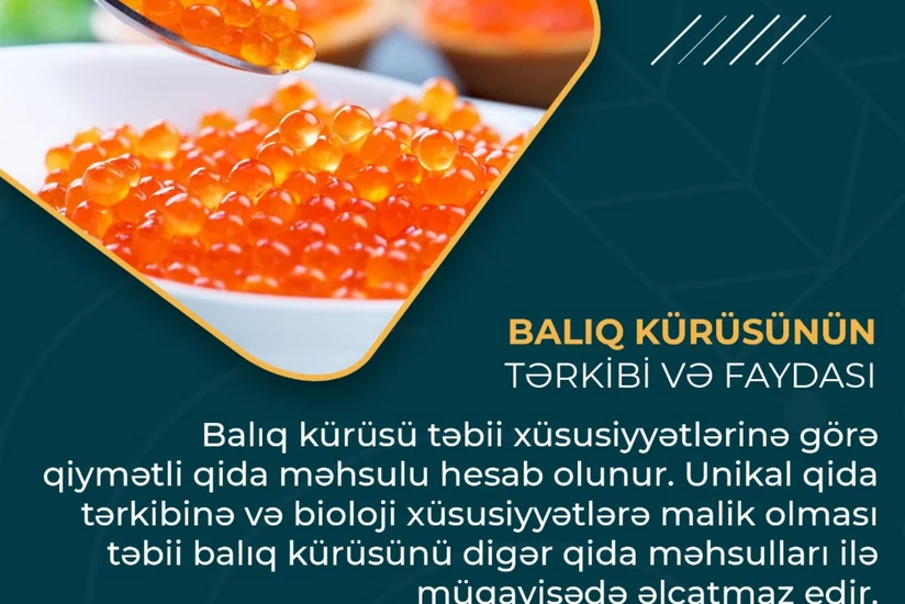 Balıq kürüsünün insan orqanizmi üçün faydaları açıqlanıb