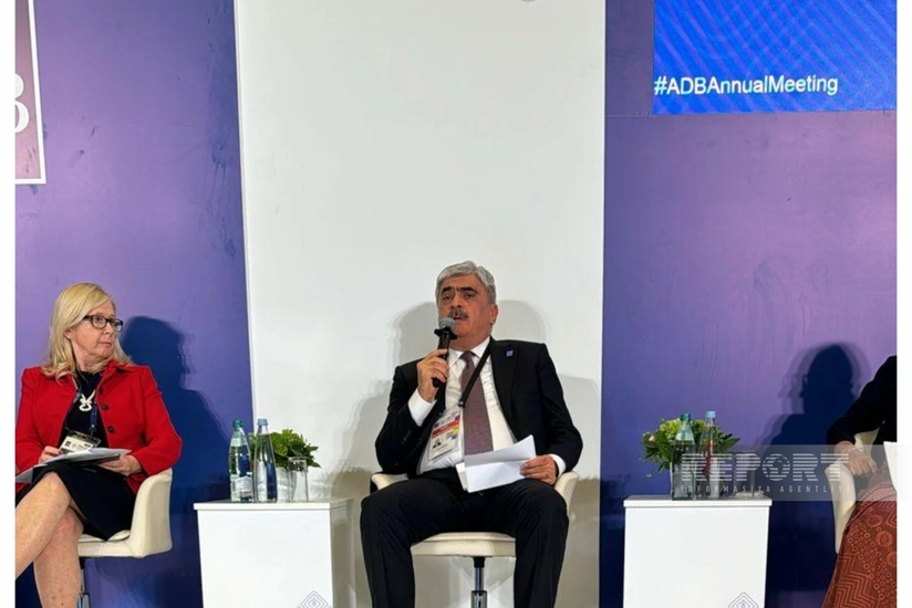 Министр: У Азербайджана есть своя программа энергоперехода