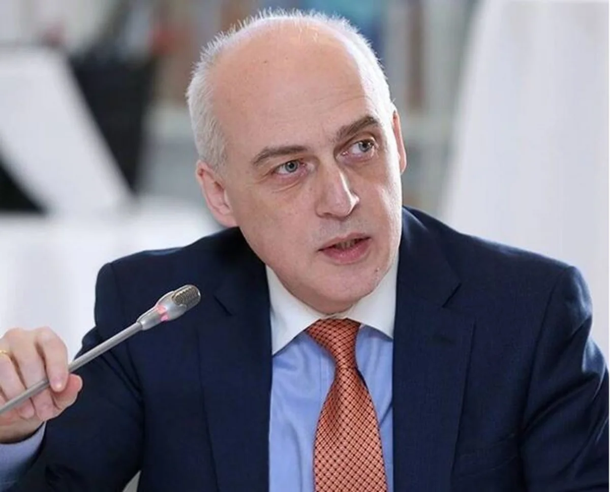 Глава МИД: Грузия направляет Азербайджану месседж за проявленную поддержку и солидарность