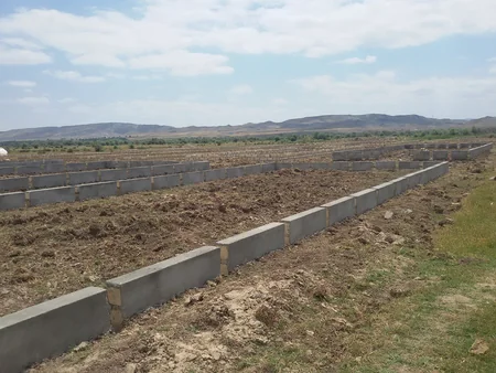 Cocuq Mərcanlıda istixana və arıçılıq təsərrüfatları yaradılır