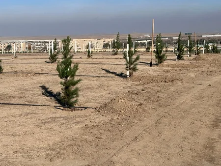 Azərbaycanda payız əkin mövsümü başlayandan 785 mindən artıq ağac əkilib