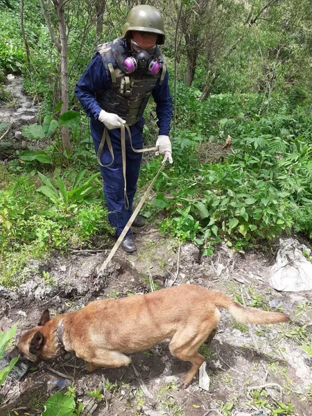 Göygöldə düşmən tərəfindən atıldığı ehtimal olunan top mərmisi tapılıb