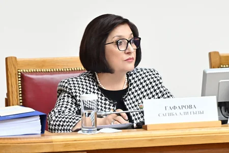 Speaker: Armenia abuses presence of EU mission and deliberately increases regional tension