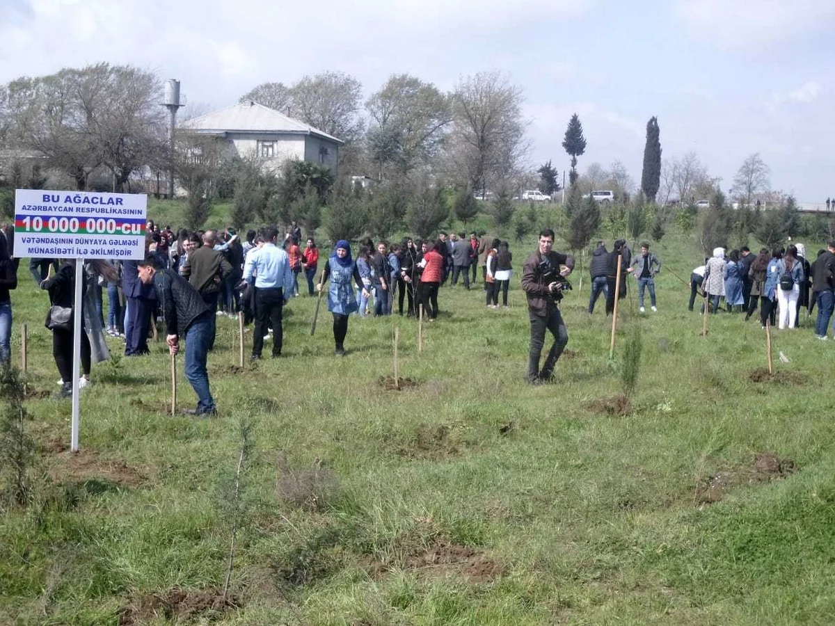 Ağacəkmə aksiyaları zamanı Bakıda 3050, rayonlarda 21770 ağac əkilib