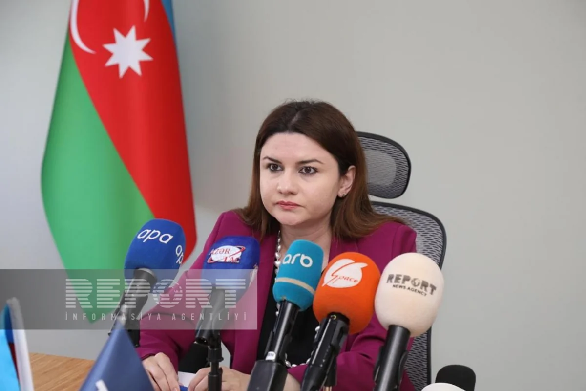 Ali təhsil müəssisələrinin akkreditasiyasının necə aparıldığı açıqlanıb