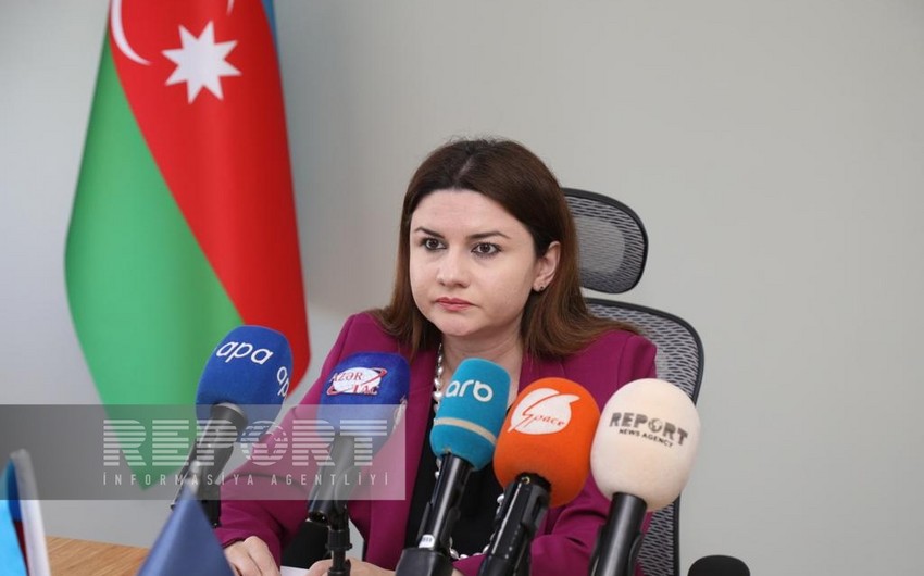 Ali təhsil müəssisələrinin akkreditasiyasının necə aparıldığı açıqlanıb