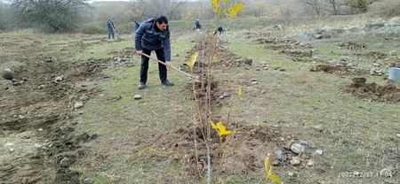 Zəngilanda ağacəkmə tədbiri keçirilib