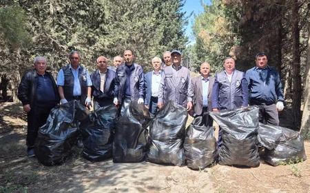 Abşeronda 64 ağacın məhv edildiyi yaşıllıq sahəsi bərpa olunub