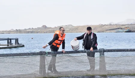 “Zəngin hövzələr” layihəsi çərçivəsində qızılbalıq körpələri dənizə buraxılıb