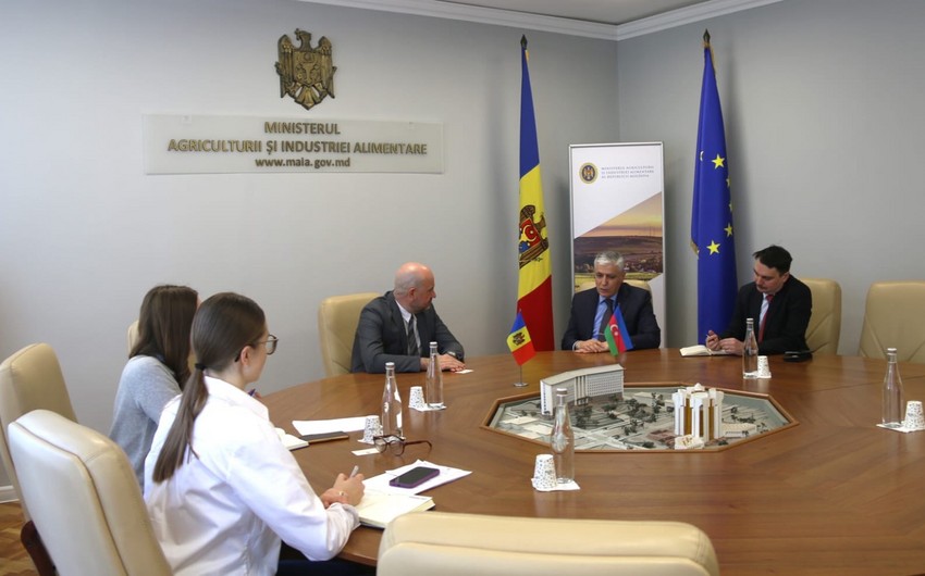 Azərbaycan və Moldova arasında əməkdaşlığın genişləndirilməsi imkanları müzakirə olunub