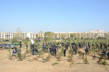 Bakıda Zəfər Günü münasibətilə ağacəkmə aksiyası keçirilib
