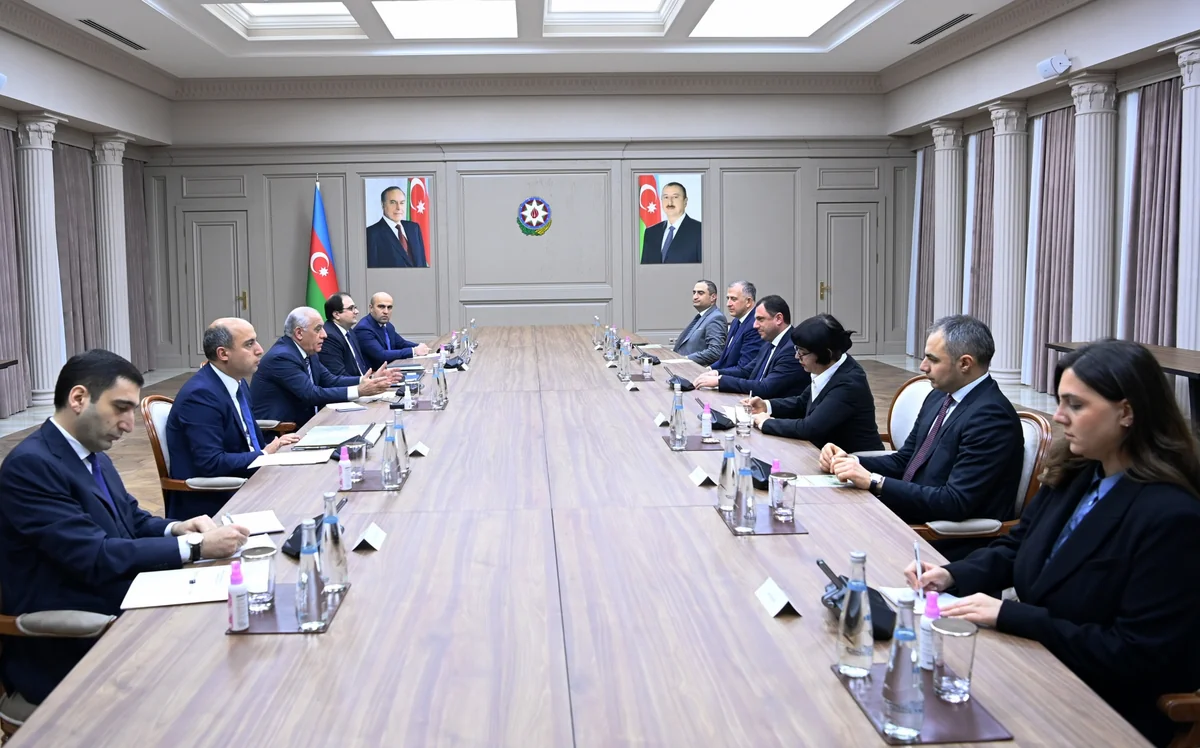 Əli Əsədov Gürcüstanın təhsil, elm və gənclər naziri ilə əməkdaşlığın cari vəziyyətini müzakirə edib