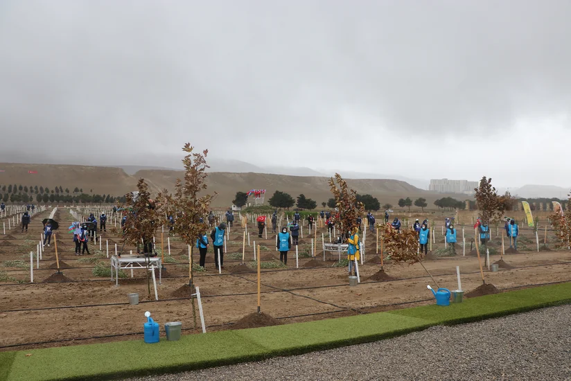 Azərbaycan Türkiyənin genişmiqyaslı ağacəkmə aksiyasına qoşulub