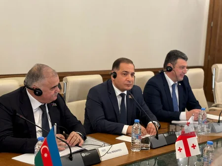 Gürcüstan Parlamentinin sədri: Azərbaycan bizə dəstəyi əməldə göstərib