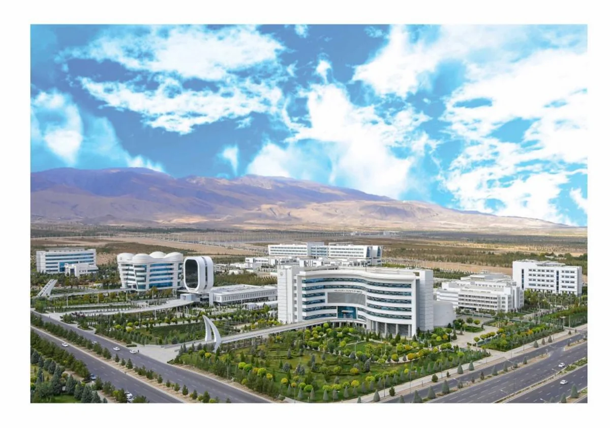 New areas of Turkmenistan-WHO cooperation identified