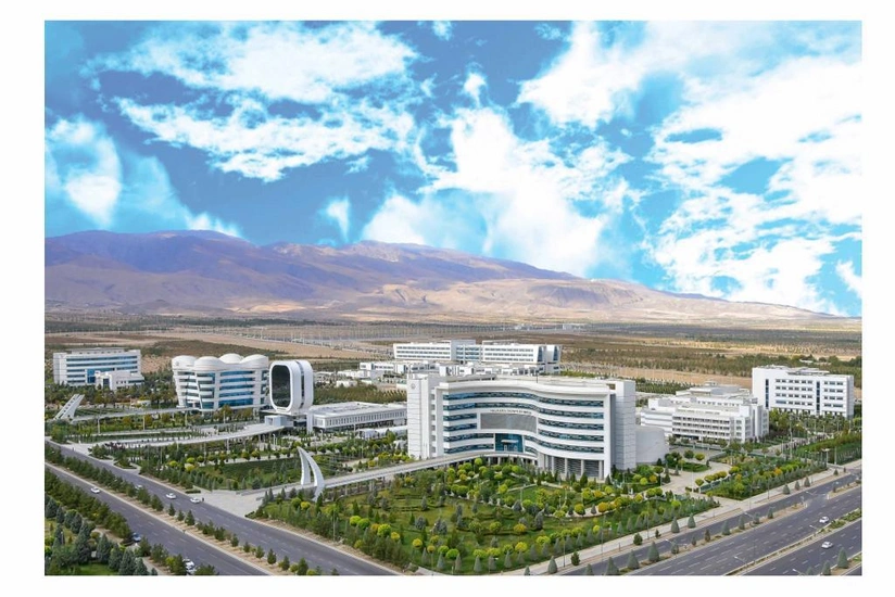 New areas of Turkmenistan-WHO cooperation identified