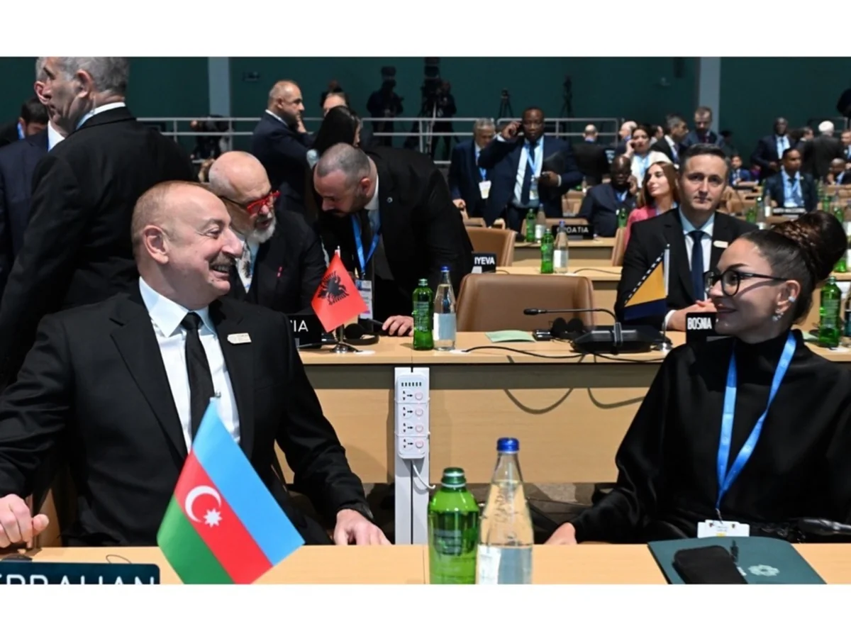 Mehriban Əliyeva COP29-un Liderlər Sammiti ilə bağlı paylaşım edib