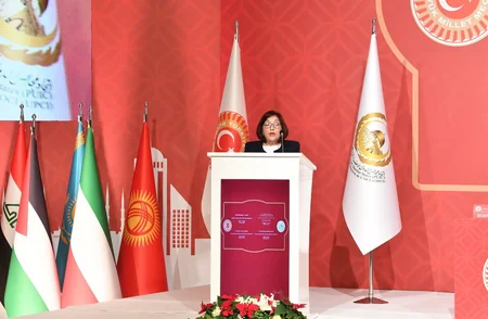 Sahibə Qafarova: Ermənistan regionda vəziyyəti gərginləşdirən hərəkətlərə yol verməməlidir