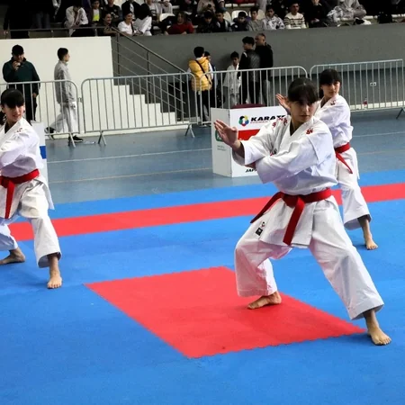 Karate üzrə Qara dəniz və Xəzər dənizi açıq turniri keçirilib